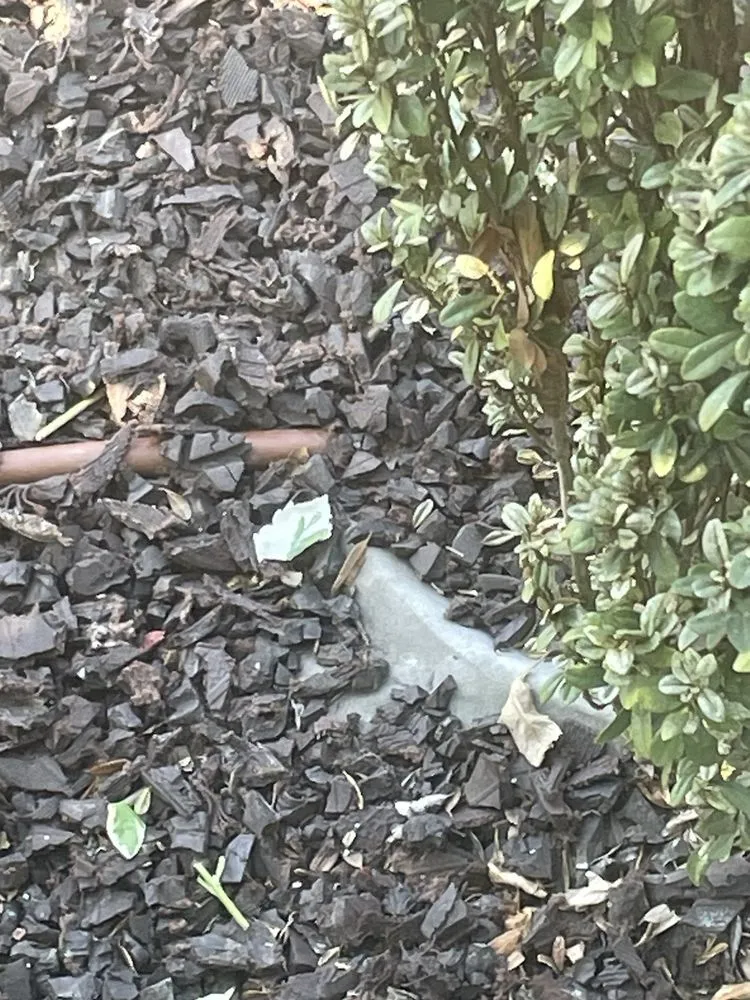 Top-rated landscape design in Long Beach, CA by Luis Torres Landscape And Gardening