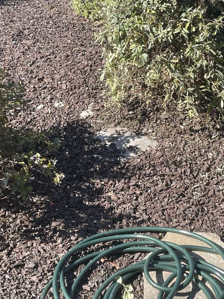 Local outdoor landscaping for beautiful yards in Long Beach, CA by Luis Torres Landscape And Gardening