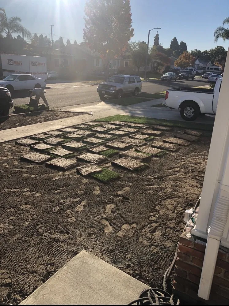 Top-rated landscape design near you in Long Beach, CA by Luis Torres Landscape And Gardening