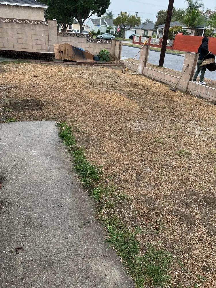 Professional outdoor landscaping for outdoor upgrades across Long Beach, CA - Luis Torres Landscape And Gardening