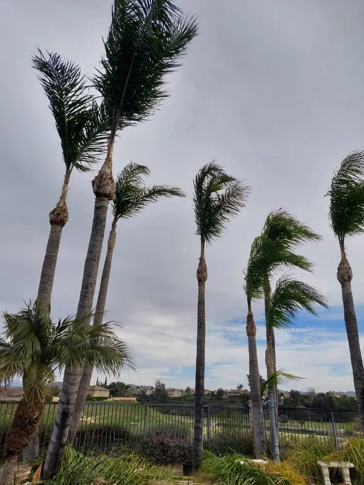 Reliable outdoor landscaping for residential properties in Corona, CA by Luis Tree Service & Landscaping