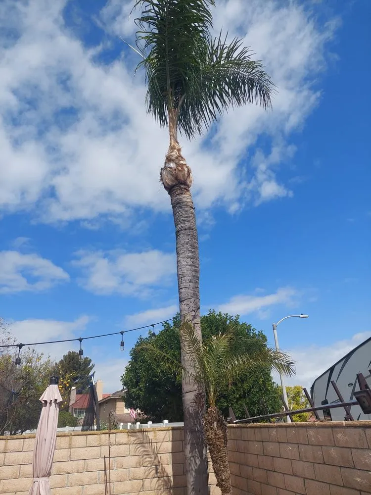 Custom garden landscaping experts serving Corona, CA - Luis Tree Service & Landscaping