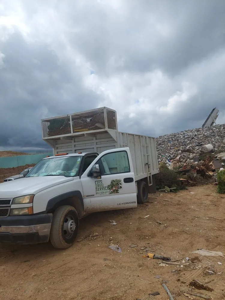 Reliable yard maintenance for residential properties in Corona, CA by Luis Tree Service & Landscaping