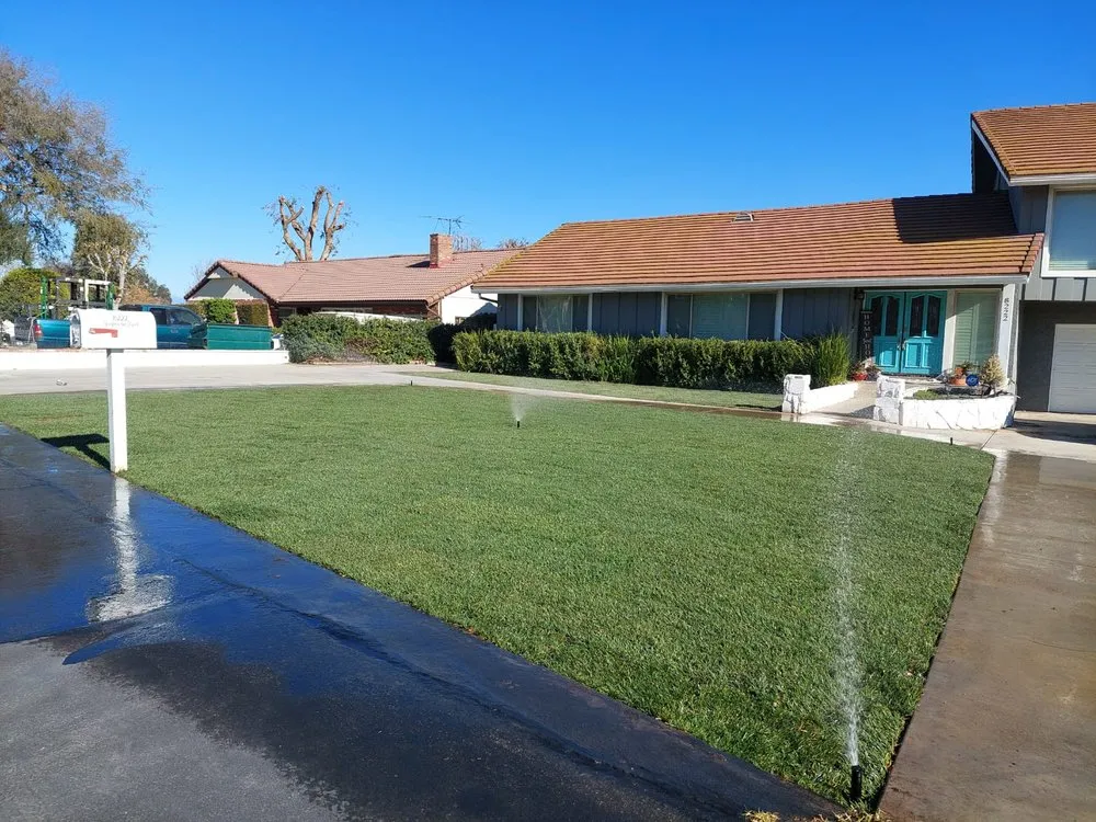 Expert lawn care service for outdoor upgrades across Corona, CA - Luis Tree Service & Landscaping