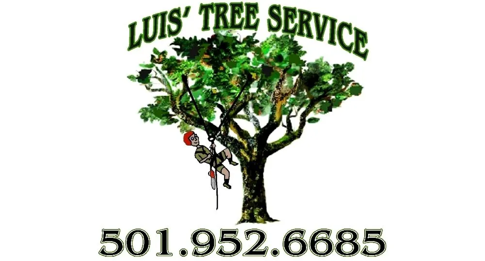 Expert yard maintenance with custom design across Little Rock, AR - Luis' Tree Service