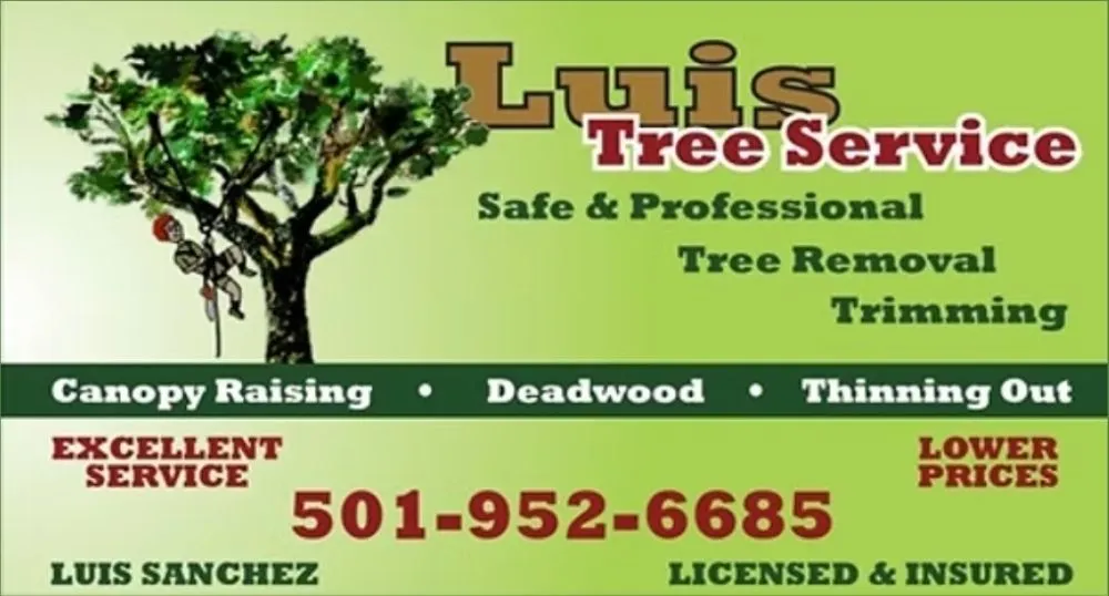 Trusted yard maintenance in Little Rock, AR - Luis' Tree Service