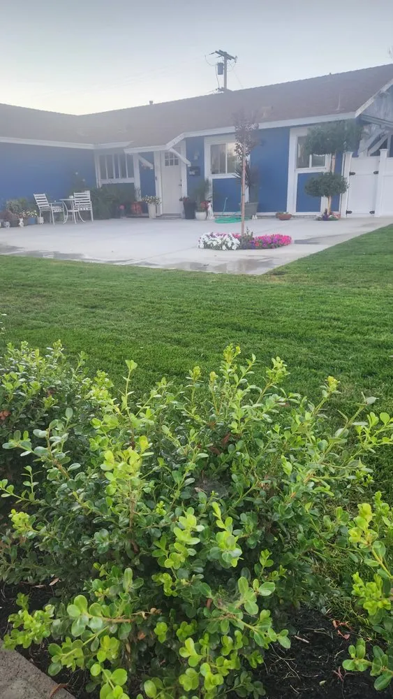 Affordable yard maintenance near you across Lompoc, CA - Luis Yard Cleaning