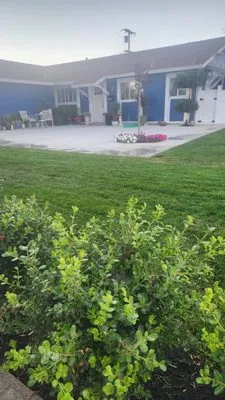 Luis Yard Cleaning Logo