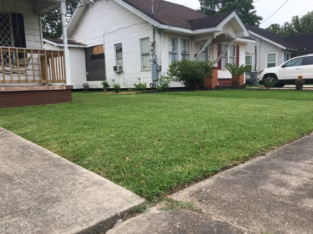 Expert outdoor landscaping for year-round maintenance in Beaumont, TX by Luis Zavala