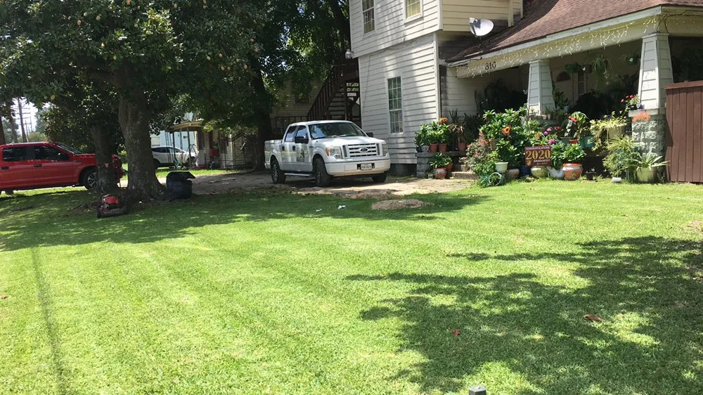 Custom garden landscaping for year-round maintenance across Beaumont, TX - Luis Zavala