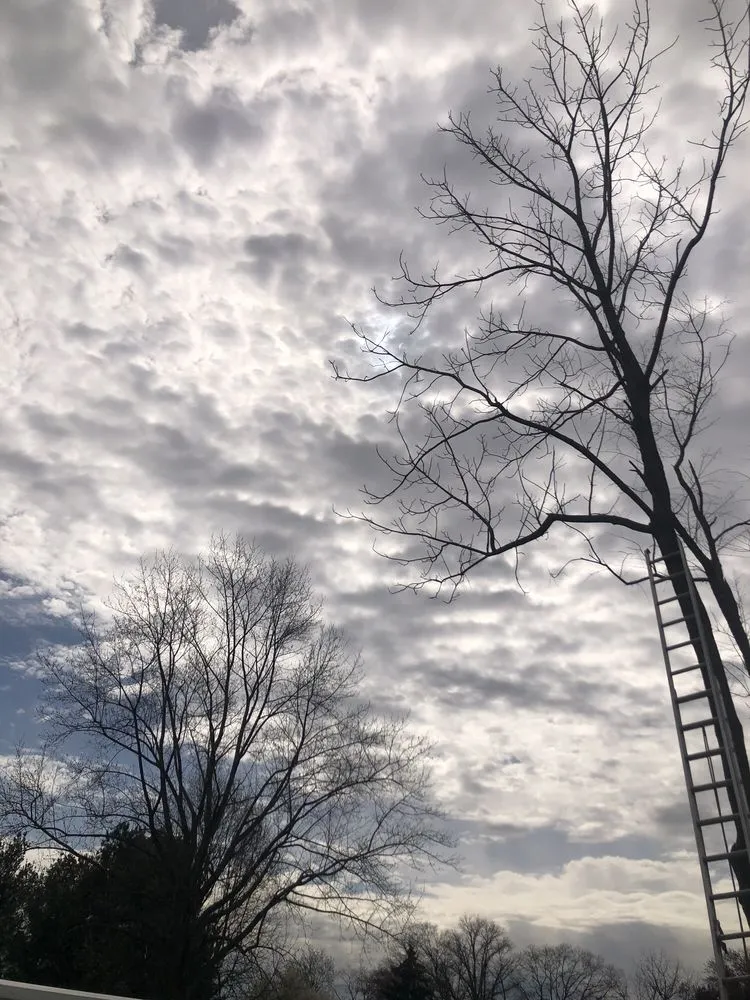 Professional landscaping services for outdoor upgrades across Croydon, PA - Luisdurans Landscaping