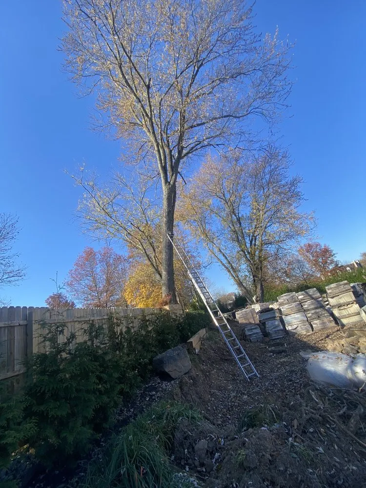 Trusted outdoor landscaping in Croydon, PA - Luisdurans Landscaping