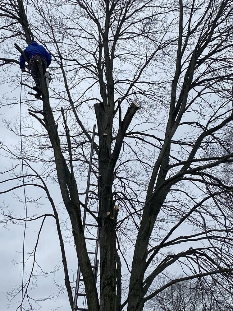 Local garden landscaping in Croydon, PA - Luisdurans Landscaping