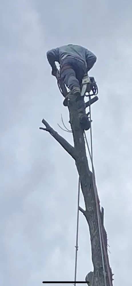 Expert lawn mowing service in Croydon, PA by Luisdurans Landscaping