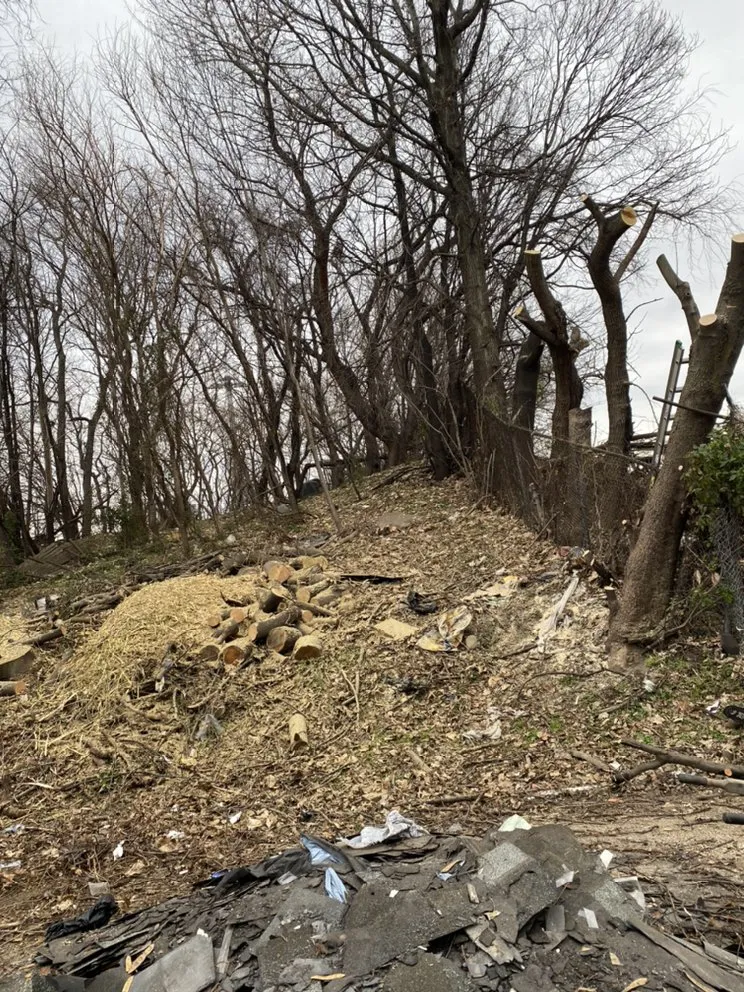 Local yard maintenance with custom design across Croydon, PA - Luisdurans Landscaping