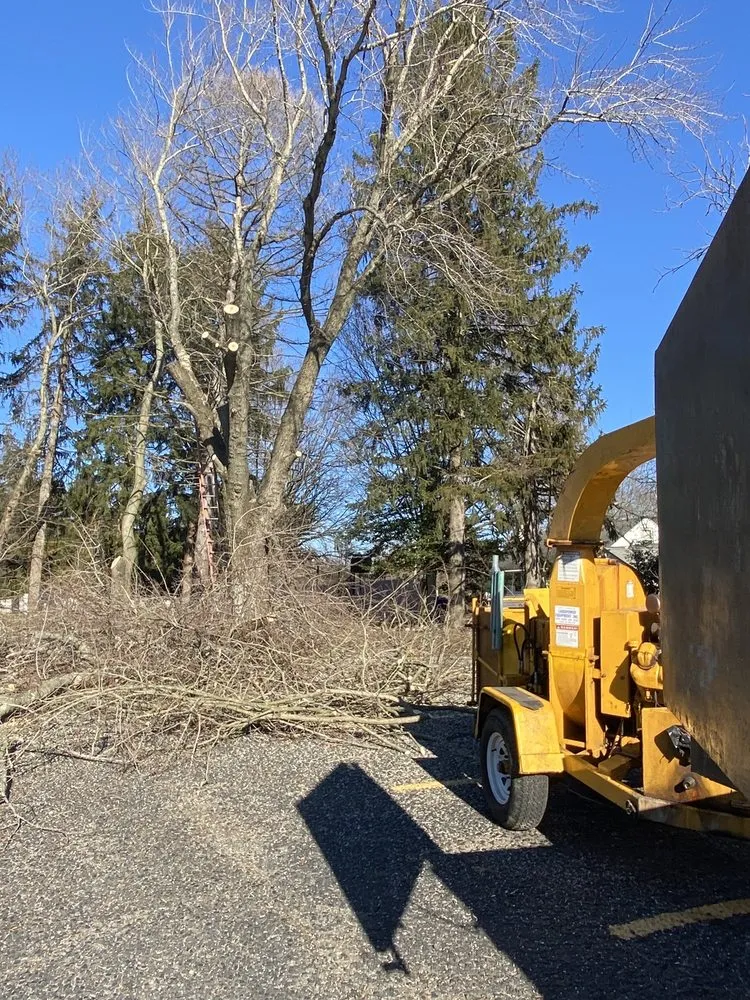 Expert lawn care service in Croydon, PA - Luisdurans Landscaping