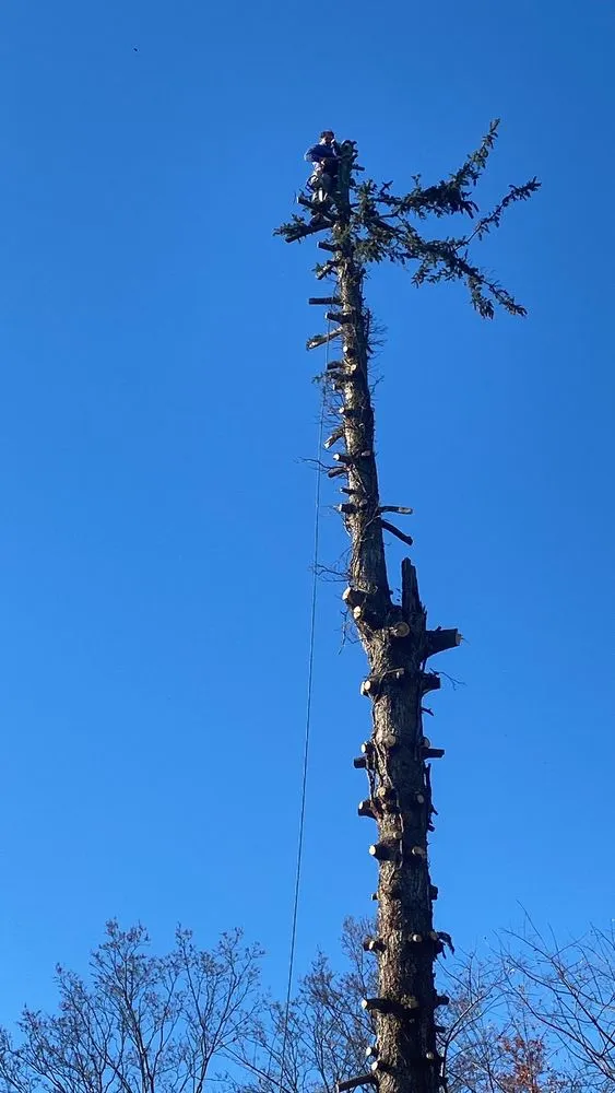 Custom lawn mowing service in Croydon, PA - Luisdurans Landscaping