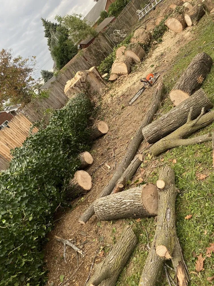 Affordable garden landscaping experts serving Croydon, PA - Luisdurans Landscaping