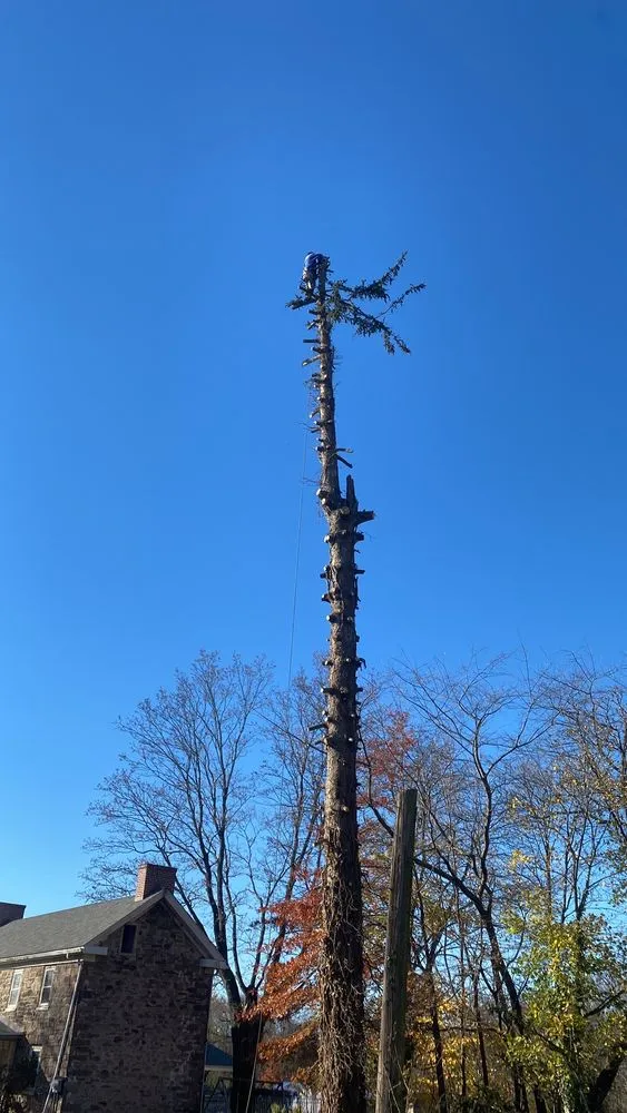 Local outdoor landscaping for year-round maintenance across Croydon, PA - Luisdurans Landscaping