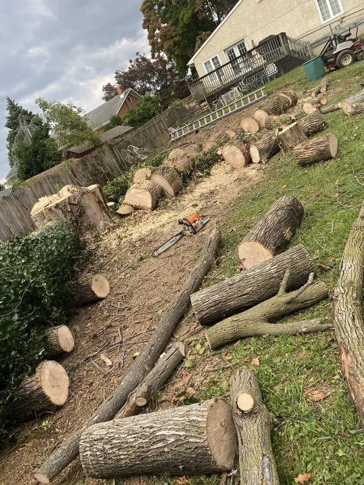 Reliable landscaping services in Croydon, PA - Luisdurans Landscaping