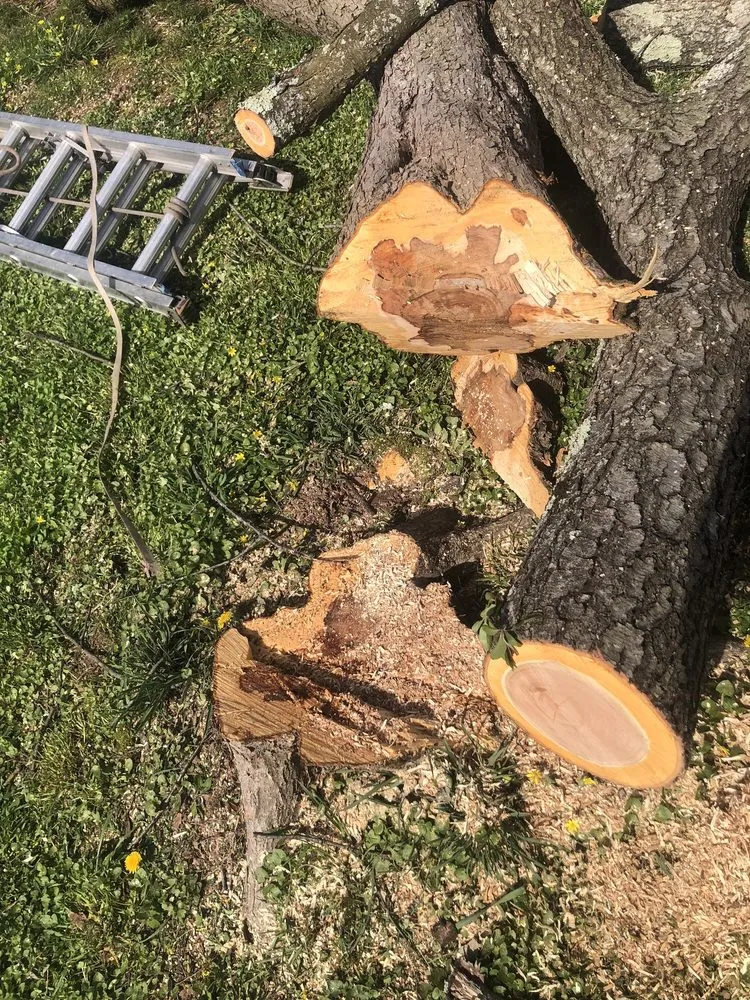 Professional yard cleanup service experts serving Croydon, PA - Luisdurans Landscaping