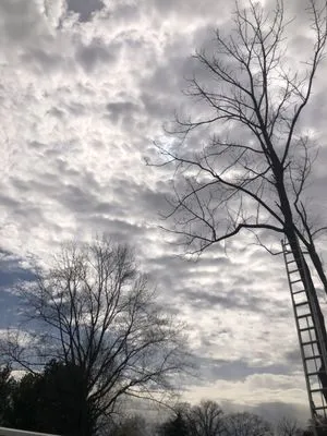 Luisdurans Landscaping