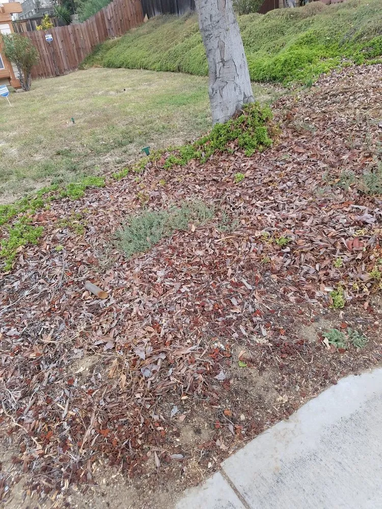 Reliable landscaping services near you in Riverside, CA by Luis's Gardening Services