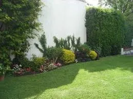 Professional residential landscaping in Riverside, CA - Luis's Gardening Services