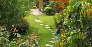 Reliable yard cleanup service for outdoor upgrades in Riverside, CA by Luis's Gardening Services
