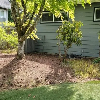 Expert yard maintenance in Portland, OR - Luis's Gardens & More