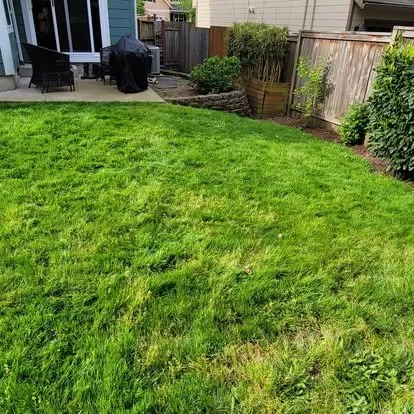 Reliable lawn mowing service in Portland, OR - Luis's Gardens & More