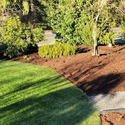 Professional yard cleanup service experts serving Portland, OR - Luis's Gardens & More