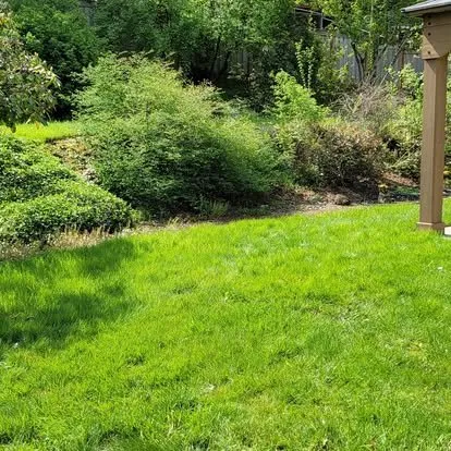 Trusted lawn care service in Portland, OR by Luis's Gardens & More
