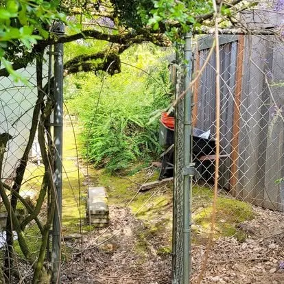 Top-rated garden landscaping for year-round maintenance across Portland, OR - Luis's Gardens & More