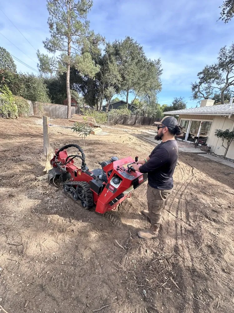 Affordable landscape installation for year-round maintenance in Upland, CA by Luis’s Hand Jobs