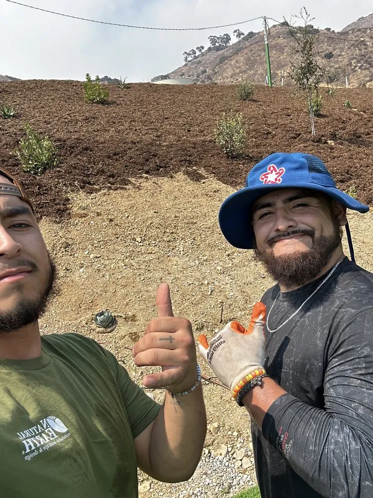 Affordable yard maintenance in Upland, CA - Luis’s Hand Jobs