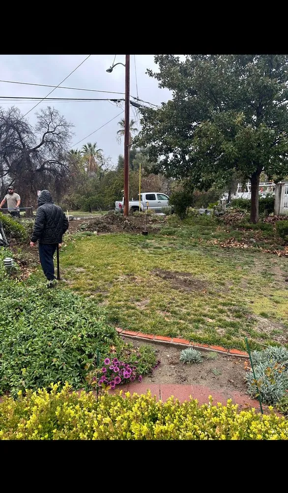 Top-rated landscape installation experts serving Upland, CA - Luis’s Hand Jobs