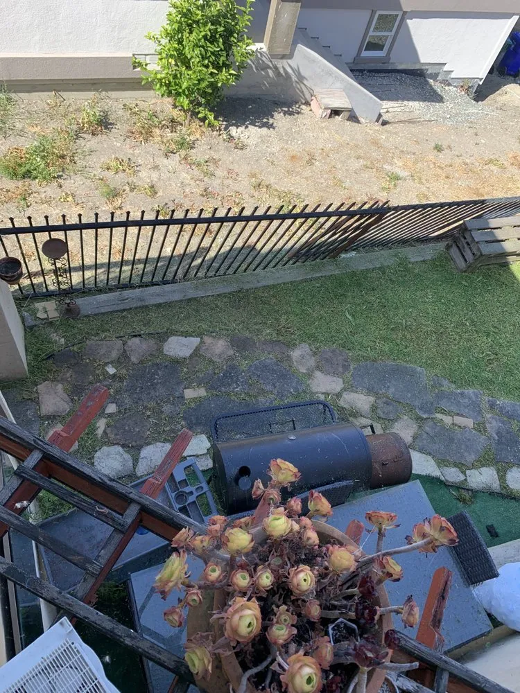 Professional landscaping services in Antioch, CA by Luis’s Landscaping