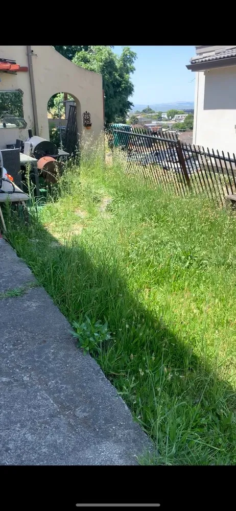 Trusted landscaping services for outdoor upgrades in Antioch, CA by Luis’s Landscaping