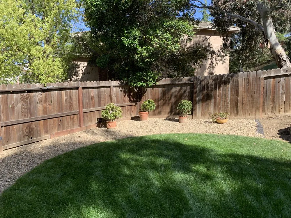 Reliable lawn mowing service in Antioch, CA - Luis’s Landscaping
