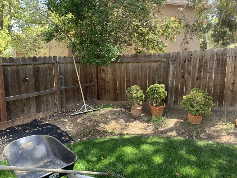 Reliable landscaping services in Antioch, CA by Luis’s Landscaping