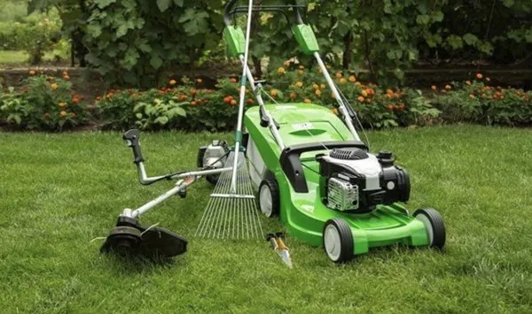 Luis’s Lawn Care Logo