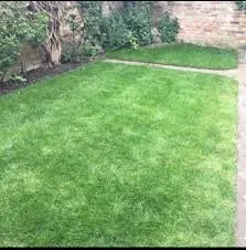 Luis's Lawn Services Logo