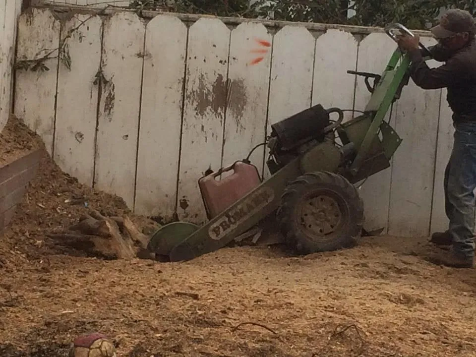 Top-rated garden landscaping in Bonsall, CA - Luis's Tree Service