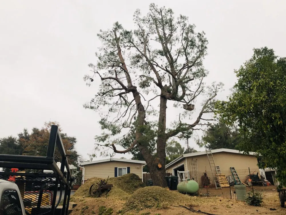 Top-rated landscaping services in Bonsall, CA by Luis's Tree Service