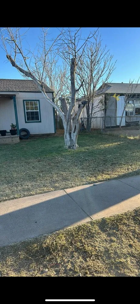 Trusted yard cleanup service for year-round maintenance in Odessa, TX by Lujan’s LandScaping and LawnCare