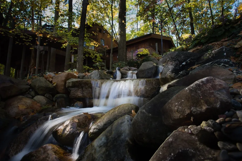 Custom landscape design experts serving Haslett, MI - Luke Landscape Company