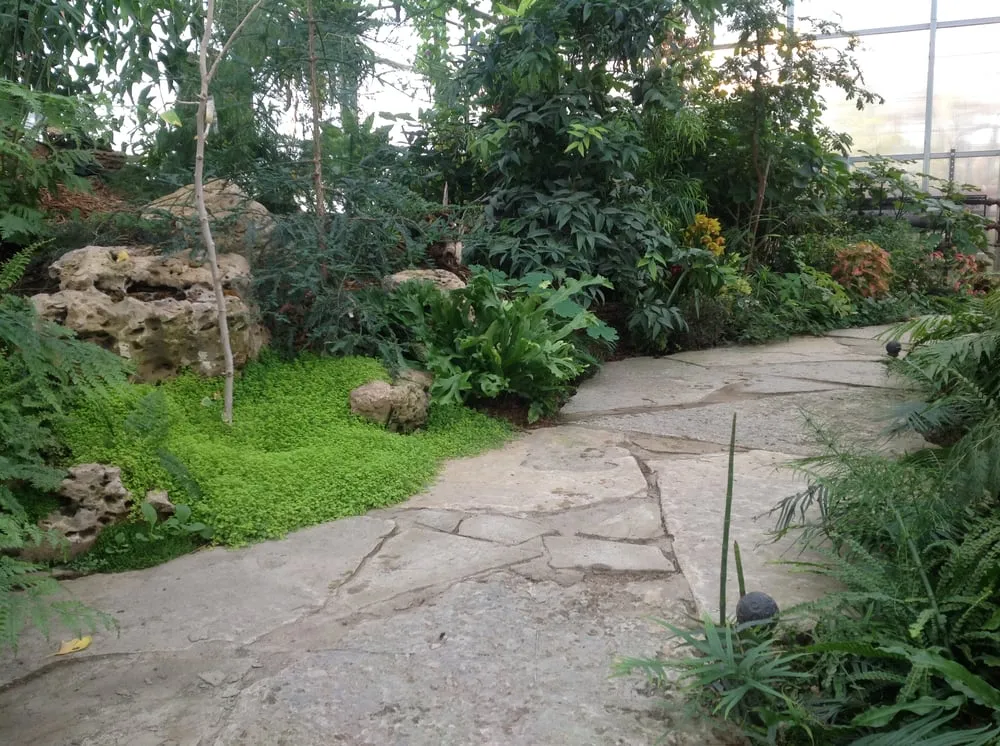 Reliable outdoor landscaping in Haslett, MI - Luke Landscape Company