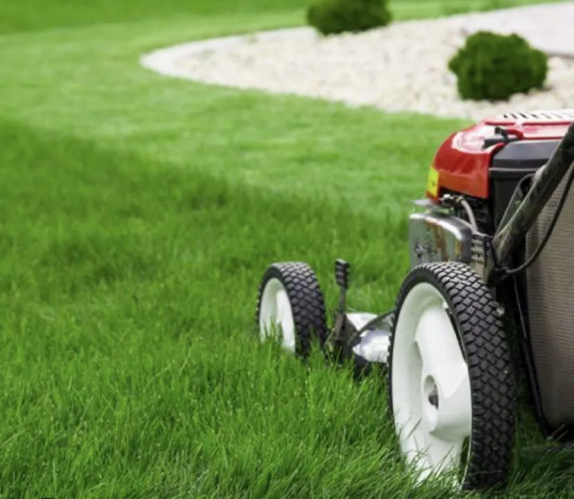 Expert lawn care service for residential properties across Wintersville, OH - Luke Lawn Care