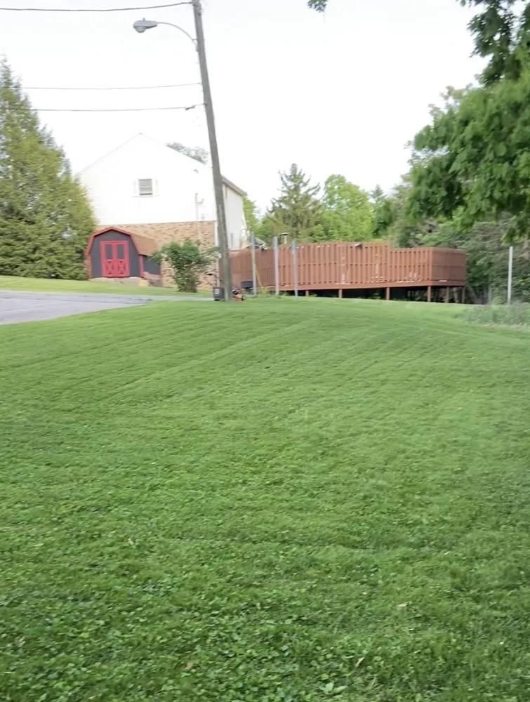 Expert landscape installation experts serving Wintersville, OH - Luke Lawn Care